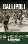 Cover: Gallipoli - Leo Cooper Ltd