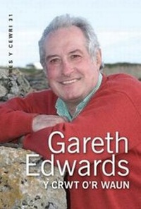 Abbildung von: Cyfres y Cewri: 31. Y Crwt o'r Waun - Gwasg Gwynedd