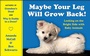 Cover: Maybe Your Leg Will Grow Back! - William Morrow Paperbacks