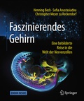 Cover: Faszinierendes Gehirn - Springer