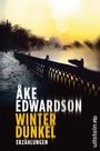 Cover: Winterdunkel - Ullstein