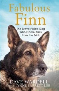 Abbildung von: Fabulous Finn - Quercus Publishing