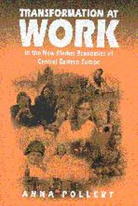 Enlarge image Cover: Transformation at Work - SAGE Publications Ltd