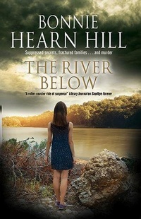 Abbildung von: The River Below - Severn House