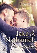 Cover: Jake & Nathaniel: Grenzenlos - dead soft verlag