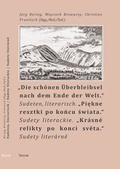 Cover: "Die sch&ouml;nen &Uuml;berbleibsel nach dem Ende der Welt". - Thelem