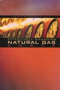 Cover: Effectively Managing Natural Gas Costs - CRC Press