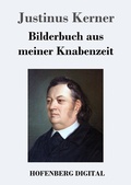 Cover: Bilderbuch aus meiner Knabenzeit - Hofenberg