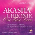 Cover: Akasha Chronik - One True Love - Lagato Verlag
