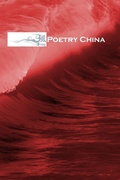 Cover: Feng - DJS books