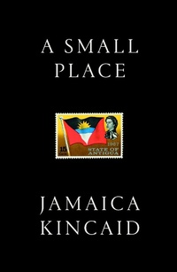 Enlarge image Cover: A Small Place - Daunt Books