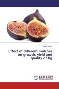 Cover: Effect of different mulches on growth, yield and quality of fig - LAP Lambert Academic Publishing