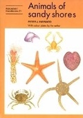 Cover: Animals of sandy shores - Richmond Publishing Co Ltd