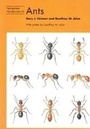 Cover: Ants - Richmond Publishing Co Ltd