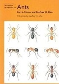 Cover: Ants - Richmond Publishing Co Ltd