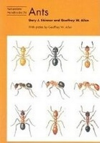 Abbildung von: Ants - Richmond Publishing Co Ltd