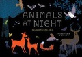 Cover: Animals at Night - Sourcebooks Explore