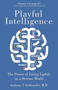 Enlarge image Cover: Playful Intelligence - Santa Monica Press