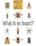 Cover: Insects of the Arctic: What Is an Insect? - Arvaaq Press