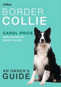 Enlarge image Cover: Border Collie - Collins