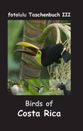 Cover: Birds of Costa Rica - BoD - Books on Demand