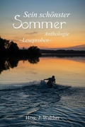 Cover: Leseproben aus Sein sch&ouml;nster Sommer - BookRix