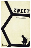 Cover: Zweet - mixtvision