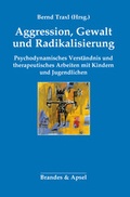 Cover: Aggression, Gewalt und Radikalisierung - Brandes & Apsel
