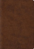 Cover: ESV Archaeology Study Bible - Crossway Books