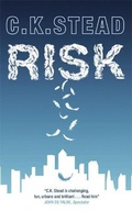 Cover: Risk - MacLehose Press