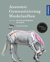 Abbildung von: Anatomie, Gymnastizierung, Muskelaufbau - Kosmos