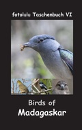 Cover: Birds of Madagaskar - BoD - Books on Demand
