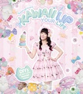 Cover: BreedingUnicorns: Kawaii Up Your Life. DIYs, die dein Leben bunter machen - Community Editions