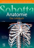Bild: Sobotta Lehrbuch Anatomie - Urban & Fischer