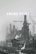 Cover: Among Ruins - University of Notre Dame Press