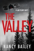 Cover: The Valley - Unleashed Publications