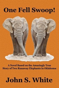 Enlarge image Cover: One Fell Swoop! - Aaps Publishing, LLC