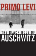 Cover: The Black Hole of Auschwitz - Polity Press