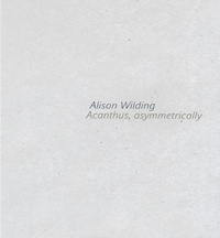 Enlarge image Cover: Alison Wilding - Ridinghouse