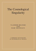 Cover: The Cosmological Singularity - Cambridge University Press