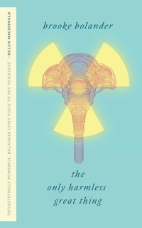 Enlarge image Cover: The Only Harmless Great Thing - St Martin's Press