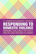 Cover: Responding to Domestic Violence - Jessica Kingsley Publishers