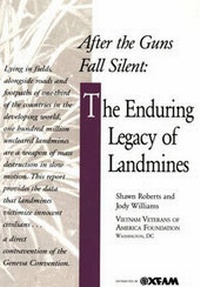 Enlarge image Cover: After the Guns Fall Silent - Oxfam Professional