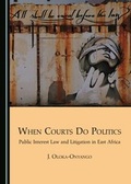 Cover: When Courts Do Politics - Cambridge Scholars Publishing