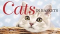 Cover: Cats in Baskets - Amber Books