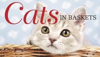 Enlarge image Cover: Cats in Baskets - Amber Books