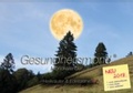Cover: Gesundheitsmond&reg;-Mondkalender 2018 - ROMANUS