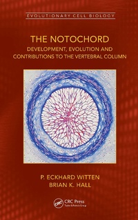 Abbildung von: The Notochord - CRC Press