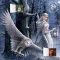 Cover: Anne Stokes - Midnight Messenger advent calendar (with stickers) - Flame Tree Publishing