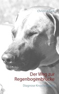 Cover: Der Weg zur Regenbogenbr&uuml;cke - Books on Demand